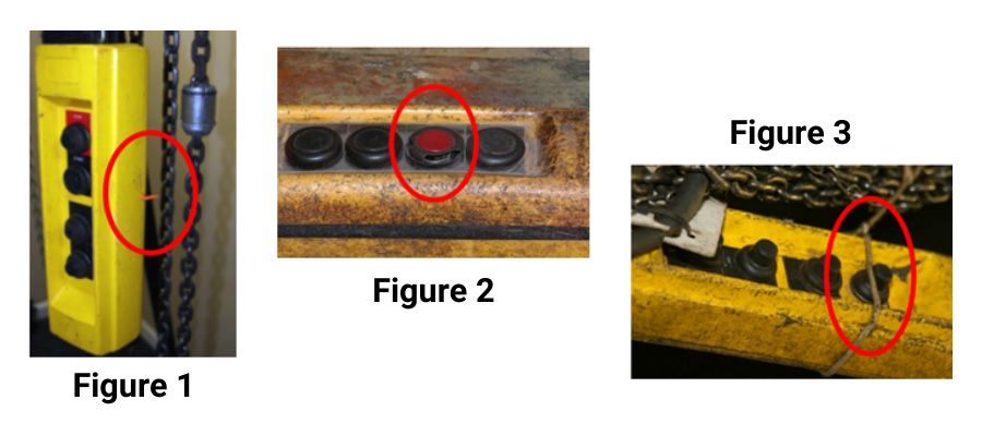 Figure_1.jpg